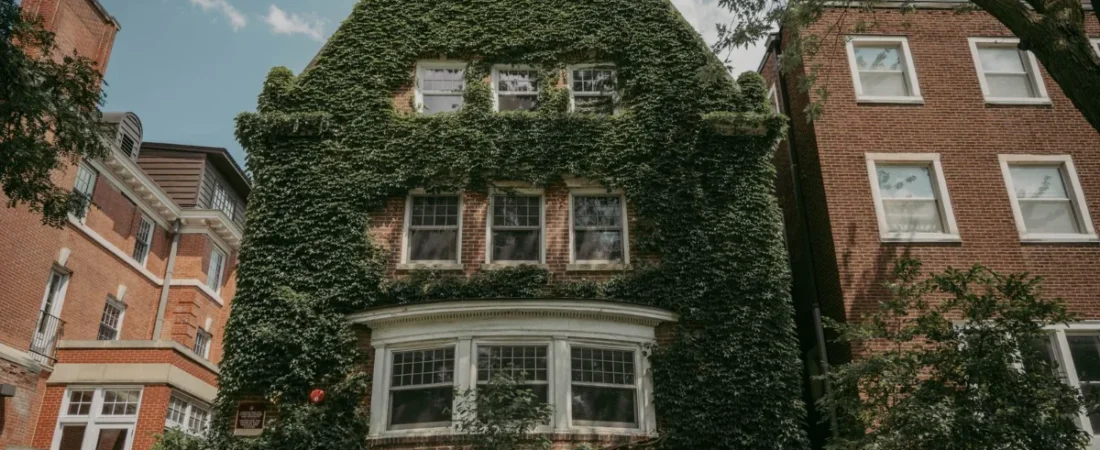 Ivy-covered house in a Chicago neighborhood